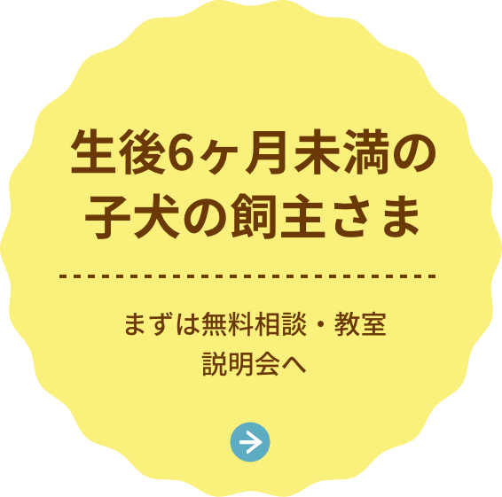 生後横浜教室にて定期的に開催しています。